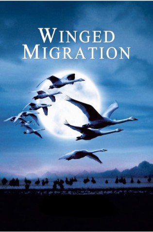 Winged Migration (2002) 