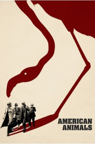 American Animals 