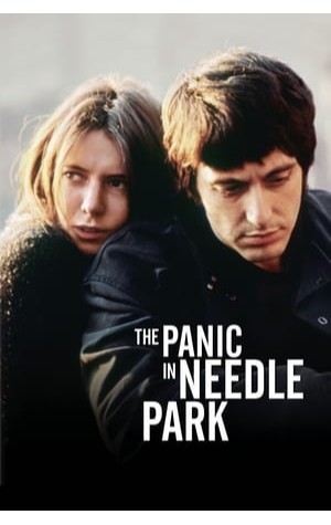The Panic In Needle Park (1971) 