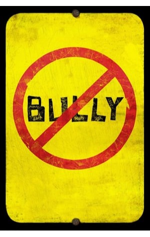 Bully (2011) 