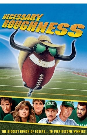 Necessary Roughness 