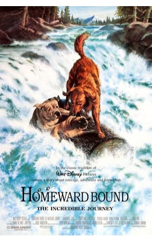 Homeward Bound: The Incredible Journey (1993) 