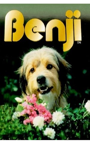 Benji (1974) 