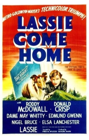 Lassie Come Home (1943) 