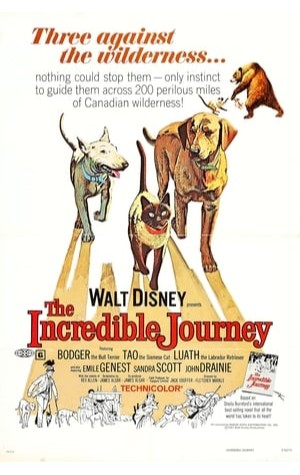 The Incredible Journey (1963) 