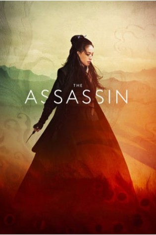 The Assassin (2015) 