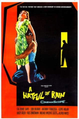 A Hatful of Rain (1957) 