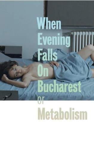 When Evening Falls on Bucharest or Metabolism (2013) 