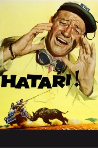 Hatari! 