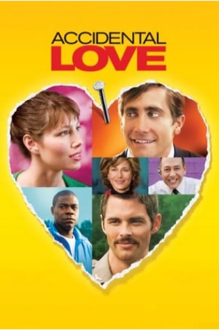 Accidental Love (2015) 