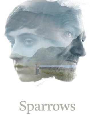 Sparrows 