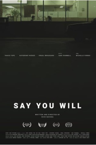 Say You Will    