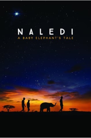 Naledi: A Baby Elephant's Tale  