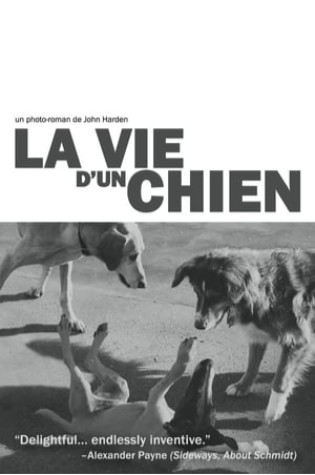 La vie d'un chien