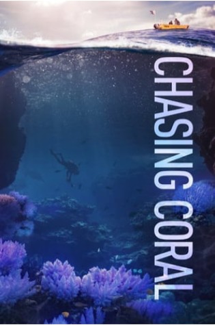 Chasing Coral   