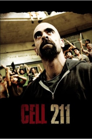 Cell 211 