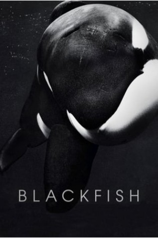 Blackfish