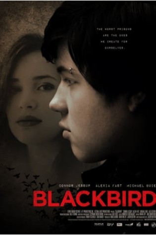 Blackbird