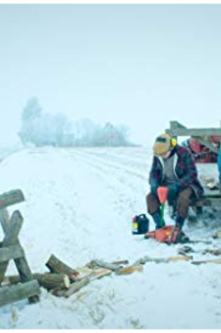 About the Birds and the Bees About the Birds and the Bees