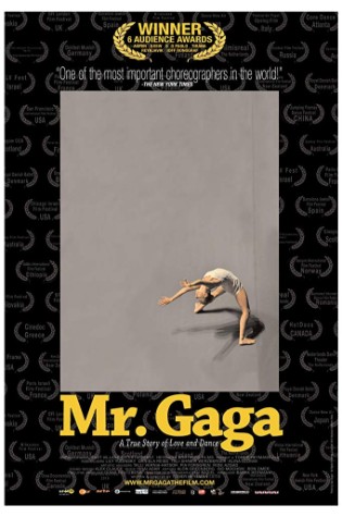 Mr. Gaga 