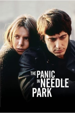 The Panic in Needle Park The Panic in Needle Park