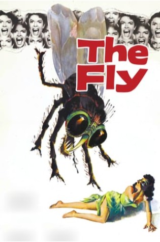 The Fly (1958)