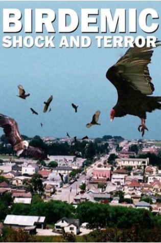 Birdemic: Shock and Terror (2010)