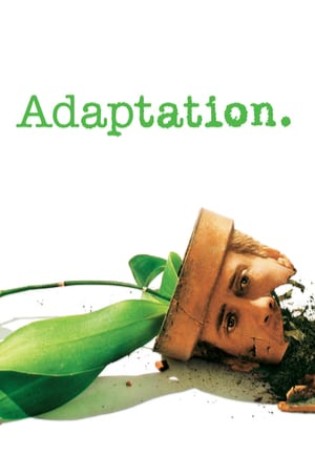 Adaptation