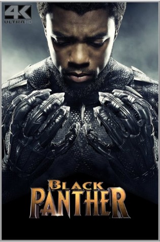 Black Panther (2018)