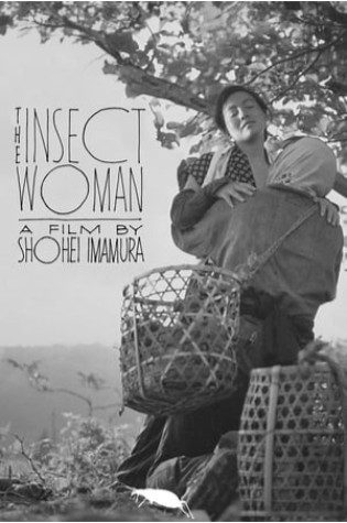 The Insect Woman (1963)