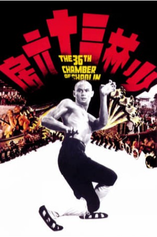 The 36th Chamber of Shaolin (1978)