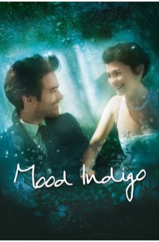 Mood Indigo (2013)