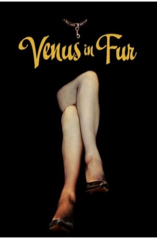 Venus in Fur (2013)