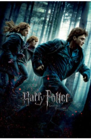 Harry Potter and the Deathly Hallows I (2010)