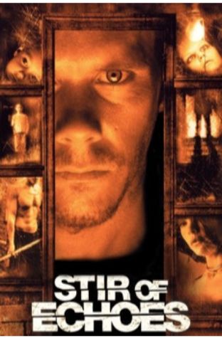 Stir of Echoes (1999)