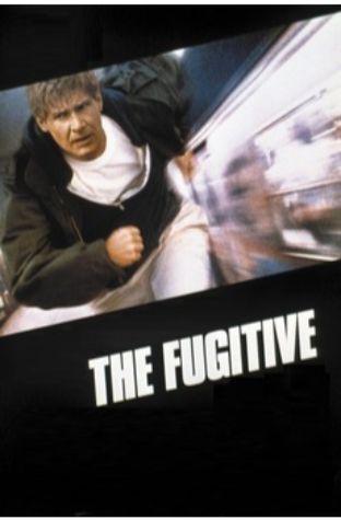 The Fugitive (1993)