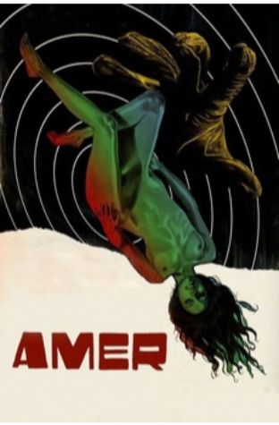 Amer (2009)