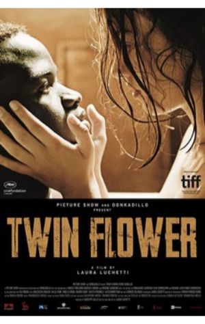 Twin Flower 