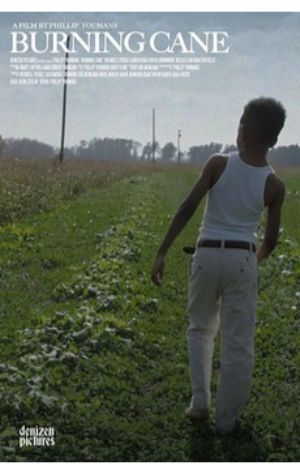 Burning Cane Burning Cane