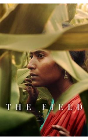 The Field The Field
