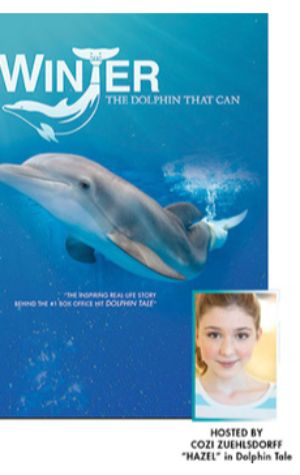 Winter, the Dolphin that Can