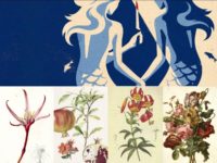 <em>Blow The Man Down</em> Film Review – Murder, Sisterhood, Fisherman Chorus, And A Parallel To 1800s Botanical Artists